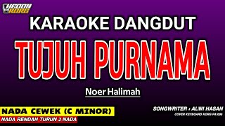 Download lagu TUJUH PURNAMA KARAOKE DANGDUT - NOER HALIMAH mp3