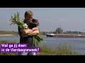 Wat ga jij doen in de Vierdaagseweek?