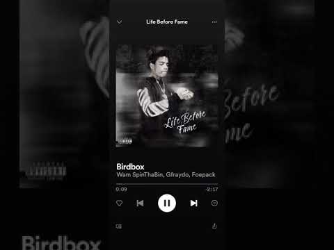 Wam SpinThaBin X Gfraydo X Foepack- Birdbox