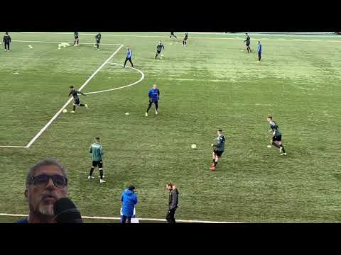 IL FROSINONE  cura di Fausto Forgia