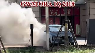 Download lagu GWM ORA IQ 2018 Caught Fire While Charging! mp3