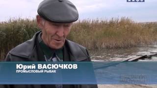 Зимняя рыбалка в далматовском районе