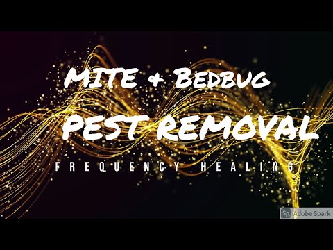 Mite and Bedbug Removal- Really Works- "Ultrasonic sound anti mites" #mites  #bedbugskillers