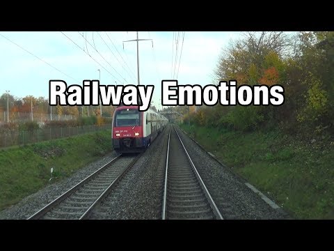 🚆 Herbstliche Bäume entlang der Gleise (Führerstandsmitfahrt Schweiz | S6 Baden - Uetikon)