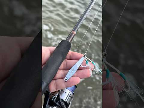 Light Shore Jigging Malosi Marksman #malosi #fishing #daiwa #lure #lurefishing #zenaq #jdm #fyp