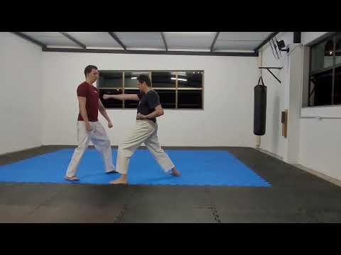 Kihon - Goshin (Hudson vs Igor)