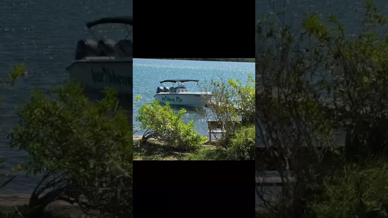 Vidéo externe