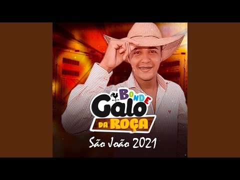 Ele Me Botou (feat. Mc Vênus)