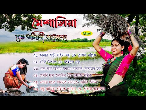 মৈশালিয়া || বাছাই করা বাংলা ভাটিয়ালী গানের এলবাম || Bengali Folk Songs Album