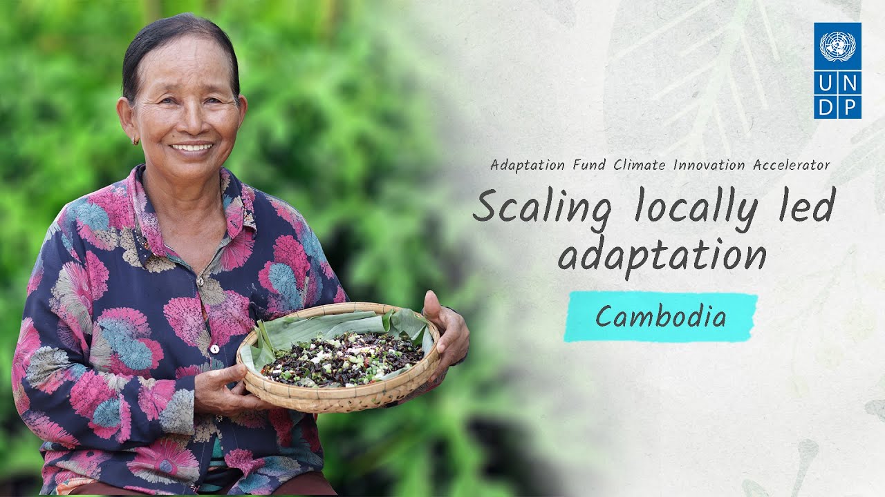 Climate-smart cricket and chaya farming in Cambodia: Livestock Development for Community Livelihood