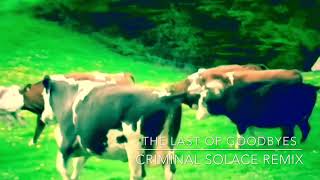 Moby   The Last of Goodbyes Criminal Solace Remix