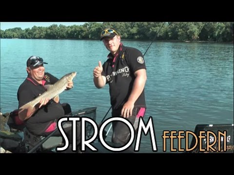 Classic Feeder Fishing Part 3 - Successful in the Current