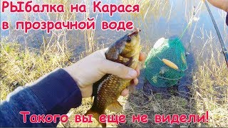 Ссылка
