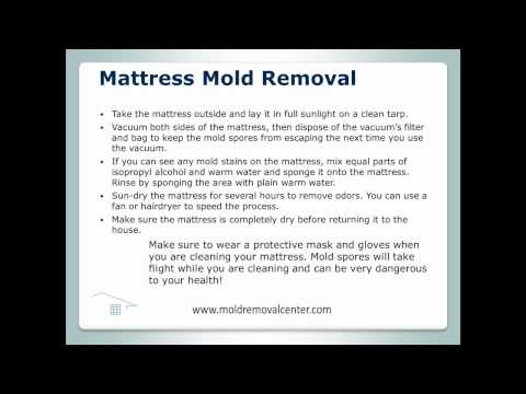 download lagu mp3 mp4 How To Get Mold Off A Mattress, download lagu How To Get Mold Off A Mattress gratis, unduh video klip How To Get Mold Off A Mattress