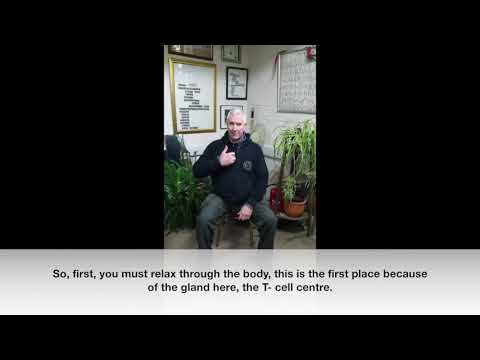 Sau Hung - Skill in the Yeung /Yang Family Tai Chi Chuan.