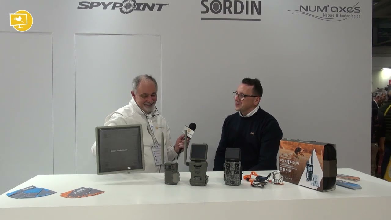 Video Articolo