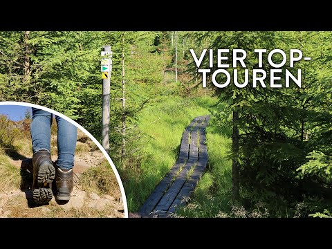 Vier Touren-Highlights: Ausgezeichnet wandern im Nationalpark Bayerischer Wald