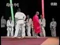Shaolin Monk Kung fu vs Taekwondo Master