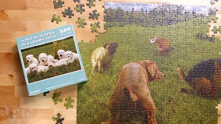 Gag Gift Puzzles