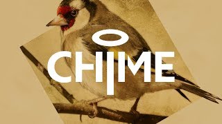 Cover art for Goldfinch