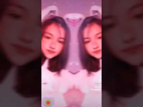 Jahfar#cat #albino #cats