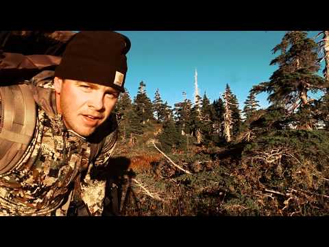 Sitka blacktail Alpine 2018