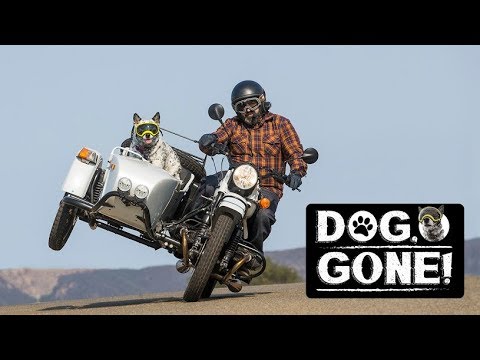 The story of the ‘Ural’, the USSR’s most popular motorbike everywhere… except Russia! - Russia Beyond