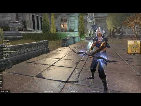 Stamina Necro DW/BOW rotation PVE