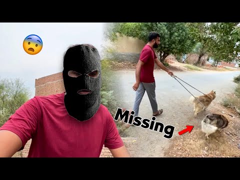 Ash Or Fiona Gum Hogae😰