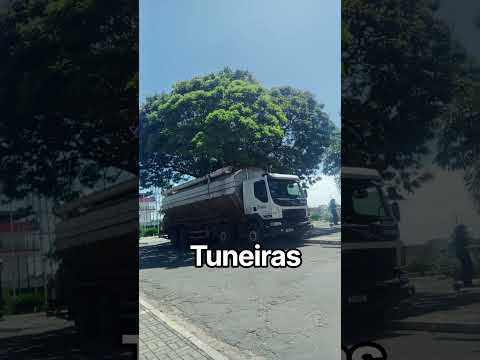 TUNEIRAS DO OESTE-PR