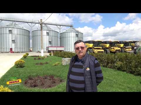 Protectia DEKALB - Grain Sistem Service SRL