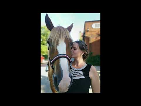 Jiřina Lysáková - Jiřina Lysáková - Holka od koní (cover, 2024)