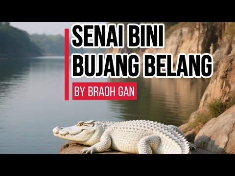 Senai Bini Bujang Belang 