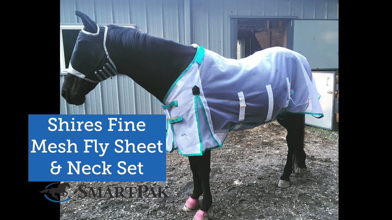 Watch video Shires Fine Mesh Fly Sheet and Neck Set Review Now Shires Fine Mesh Fly Sheet and Neck Set Review