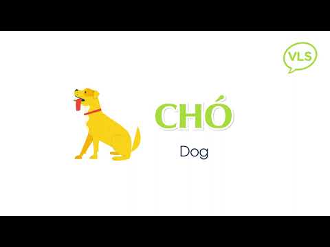 Daily Vietnamese Pronunciation: #180 How to Say "Dog" in Vietnamese? | Southern Dialect