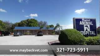 preview picture of video 'Maybeck Animal Hospital - Short | West Melbourne, FL'