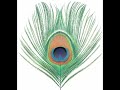 XTC - Fruit Nut