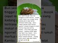 Kalo Mantu Makan Duluan Pasti Mertua Ngomen