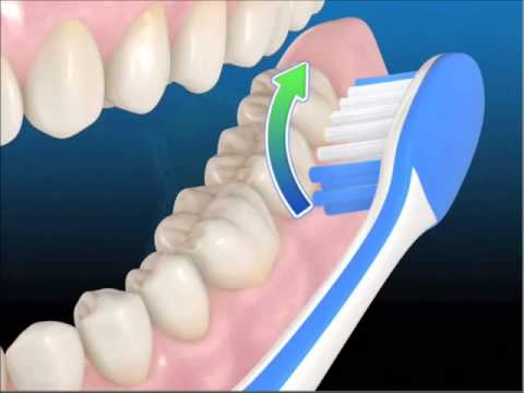 The correct brushing technique