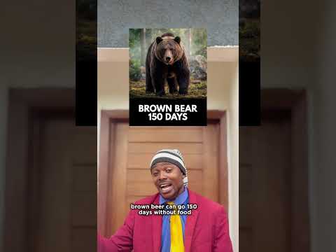 Animals and how long they will survive without food #shorts #education #ytshorts