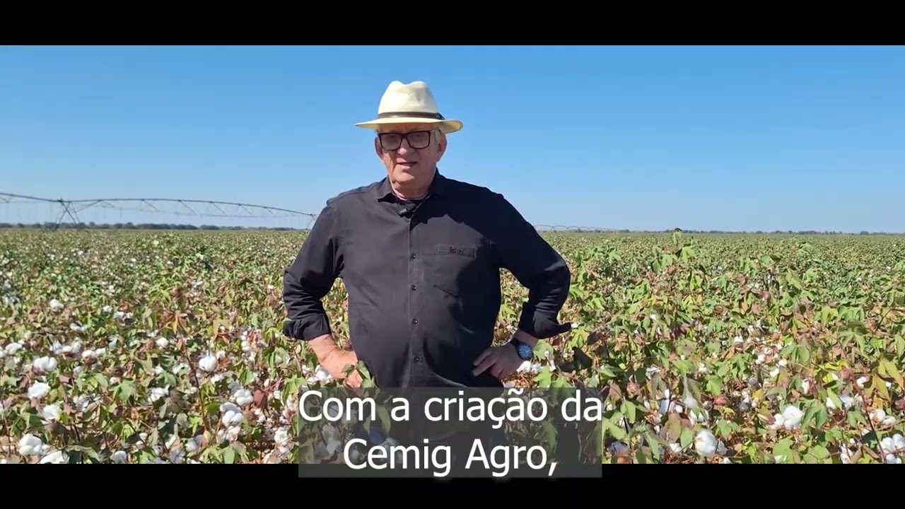 Miniatura do vídeo 2