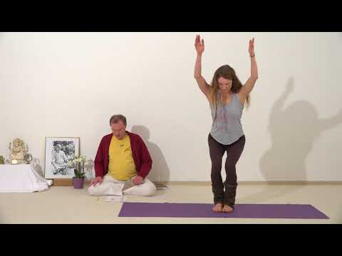 Parivritta Utkatasana - Asana Lexikon 1071