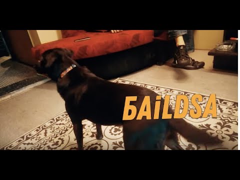 BAiLDSA - WarZone (the recordings)