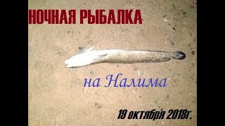 Ссылка
