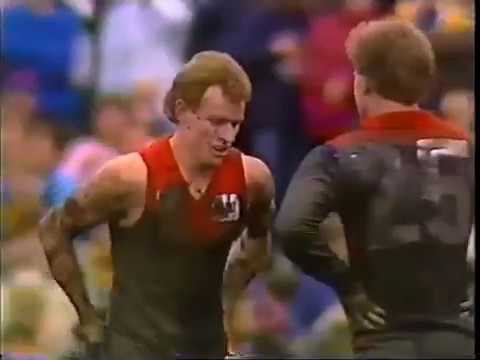 Melbourne vs Hawthorn, Round 11, 1989