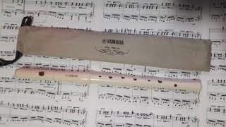 Video thumbnail for flauta pífaro yamaha YRF 21 by jubinha teclas