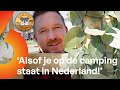 BACKSTAGE: Johnny doet EEN RONDJE CAMPING! | Camping De Wildernis #VLOG2