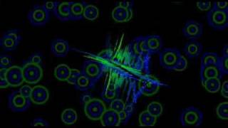 TTF - New Emotion 2000
