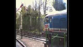 preview picture of video 'Lion hoovers Deltic D9009 @ Alresford. Eco disaster special 26/4/13 Mid Hants Diesel Gala'
