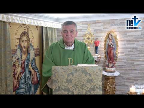 "Jesús, Tú eres mi Salvador" | Homilía, Viernes, XXV, Semana del Tiempo Ordinario (25-09-2026) | P. Santiago Martín, FM